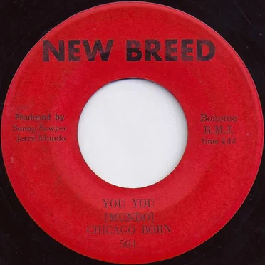 You You by Chicago Born - album cover