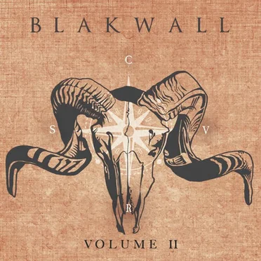 Covers, Vol. 2 by BlakWall - album cover
