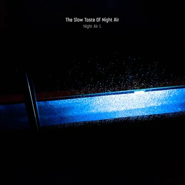Night Air I. by The Slow Taste of Night Air - album cover