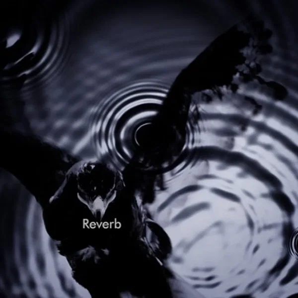 Reverb