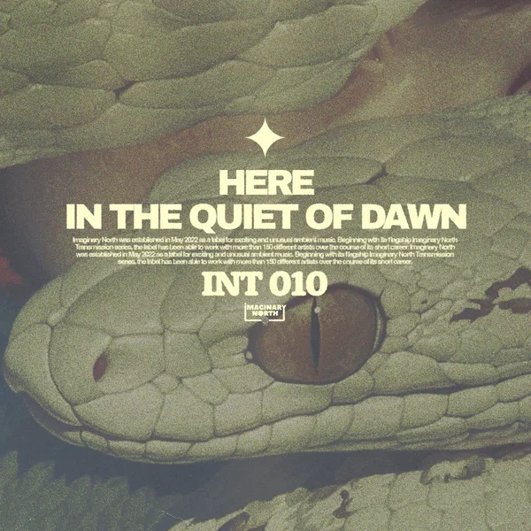 In the Quiet of Dawn