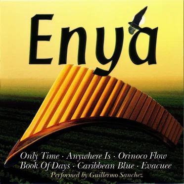 Enya: Perfect Panpipes by Guillermo Sanchez - album cover