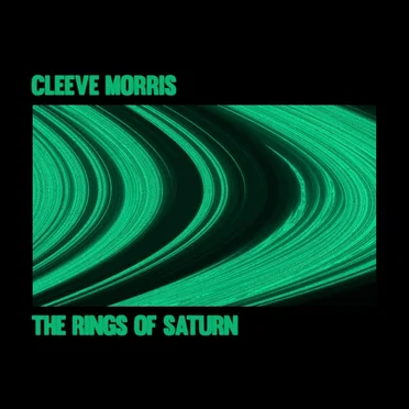 The Rings of Saturn