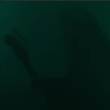 2006‐03‐03: Paradiso, Amsterdam, Netherlands