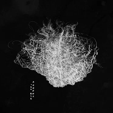 The Maw by Ascent - album cover