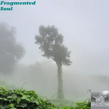 Fragmented Soul by Matthew Spencer - album cover