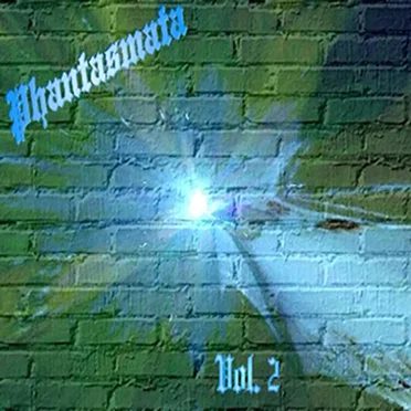 Phantasmata Vol.2 by Various Artists - album cover