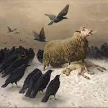 Anguish