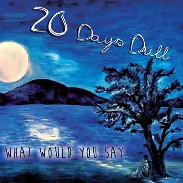 What would you Say by 20 Days Dull - album cover