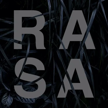 Valosta Raskas Kivi by RASA - album cover