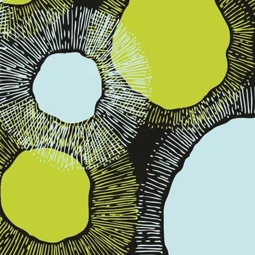 Forest, Mountain, Valley