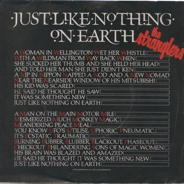 Just Like Nothing on Earth