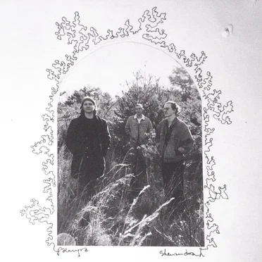 Shenandoah by Palmyra - album cover