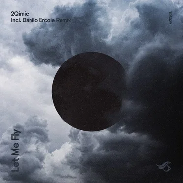 Let Me Fly by 2Qimic - album cover