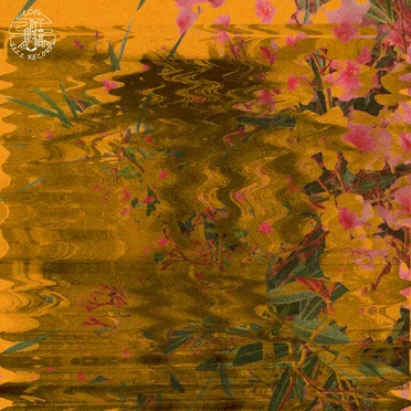 Tropici by Mr Mellow - album cover