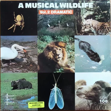 A Musical Wildlife Vol.2 Dramatic by Various Artists - album cover