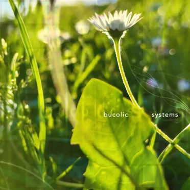 bucolic systems by Technomarina - album cover