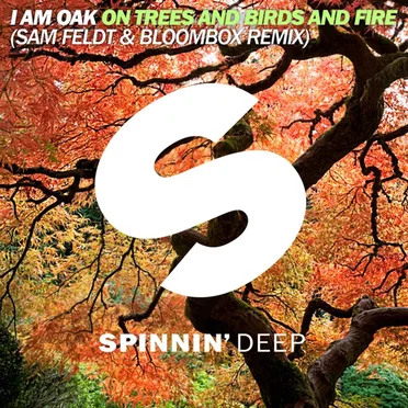 On Trees and Birds and Fire (Sam Feldt & Bloombox remix)