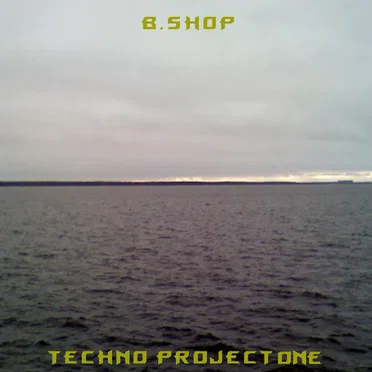 Techno Project One