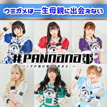 ウミガメは一生母親に出会えない by #PANnana -パンダの指は実は7本ある- - album cover