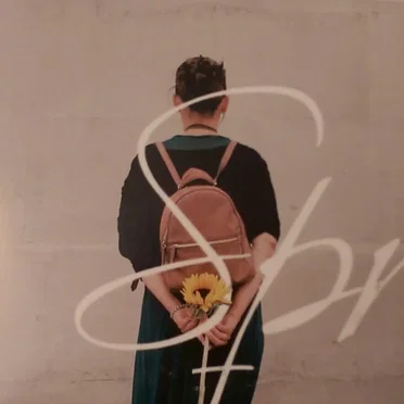The Story by Susana Silva - album cover