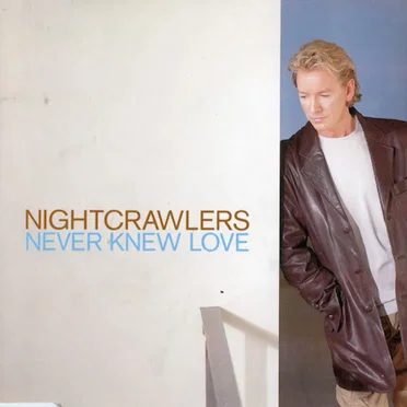 Never Knew Love