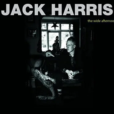 The Wide Afternoon by Jack Harris - album cover