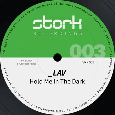 Hold Me In The Dark by _LAV - album cover
