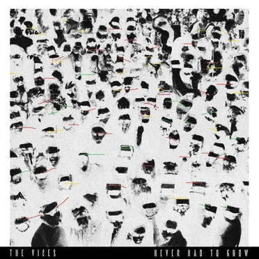 Never Had to Know by The Vices - album cover