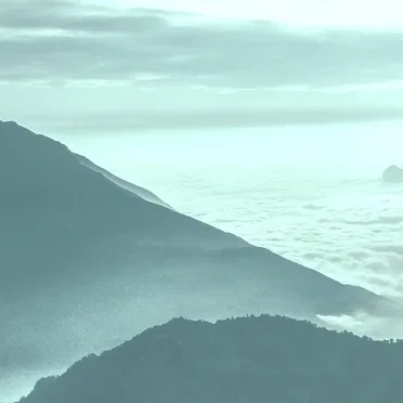 Stare at Yourself Zazen