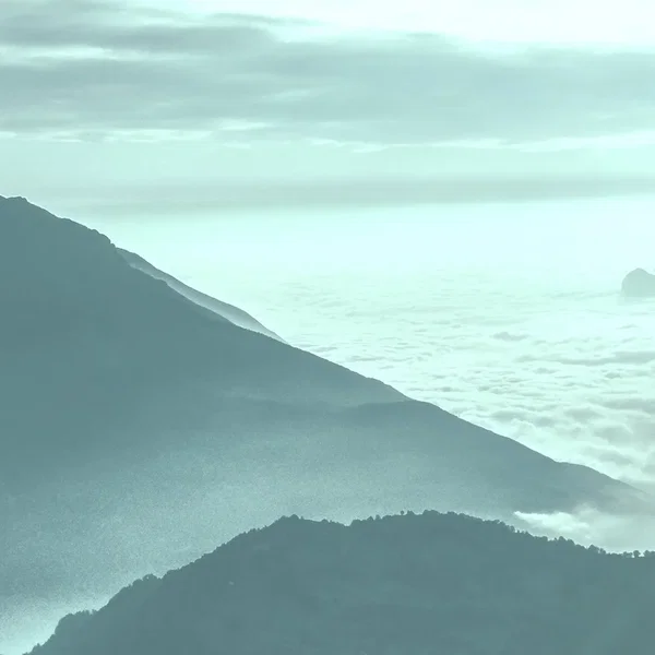 Stare at Yourself Zazen