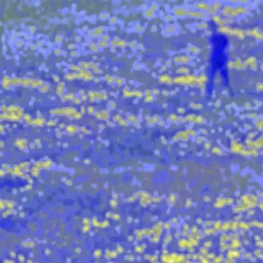 Boy in a Field
