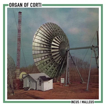 Incus / Malleus by Organ of Corti - album cover