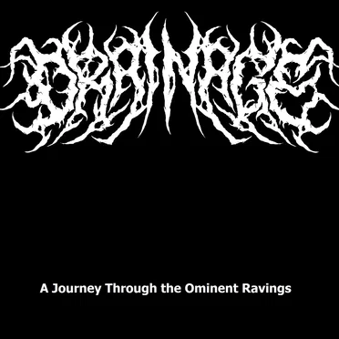 A Journey Through the Ominent Ravings by Drainage - album cover