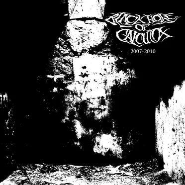 2007-2010 by Black Hole of Calcutta - album cover