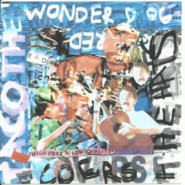 Covers the Hats by TAOC TEH WODNER DOG - album cover
