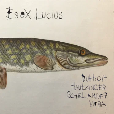 Esox Lucius