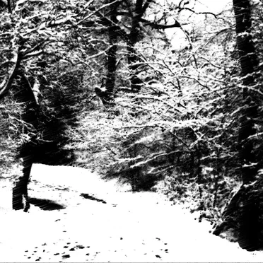 III by Arbre - album cover