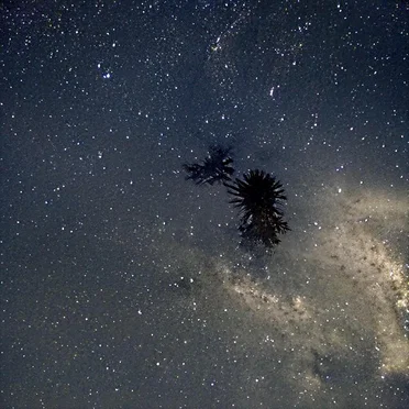 electromagnetic dreams