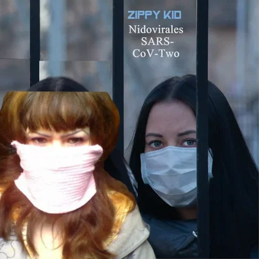 Nidovirales SARS‐CoV‐Two