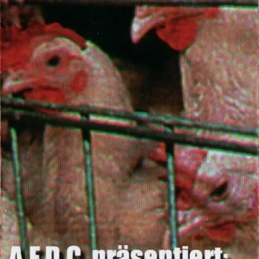 Wilde Hühner by A.F.D.C. - album cover