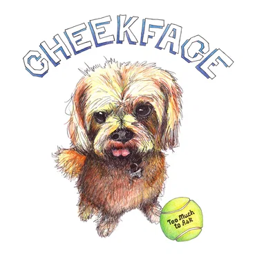 Too Much to Ask by Cheekface - album cover