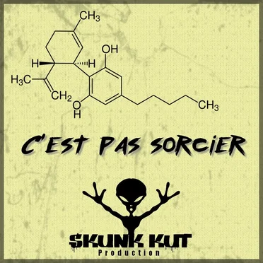 C'est pas sorcier by Skunk Kut - album cover