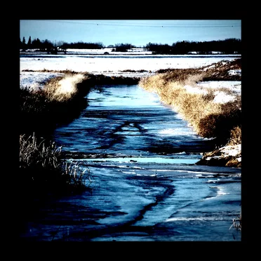transience