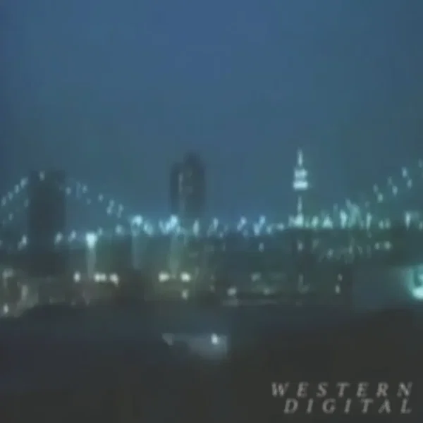 Ｗａｓｔｅｄ Ｄｉｇｉｔａｌ