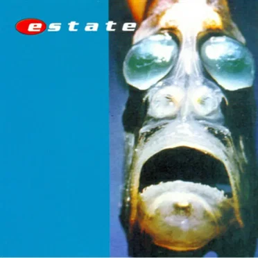 Distance by Estate - album cover