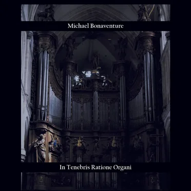In tenebris ratione organi