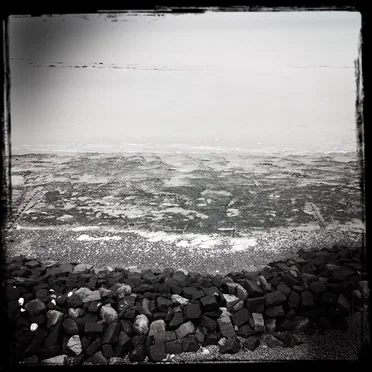 Streams of Consciousness