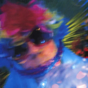 Dennis Duck Goes Disco