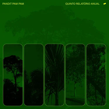 Quinto Relatório Anual by Pandit Pam Pam - album cover